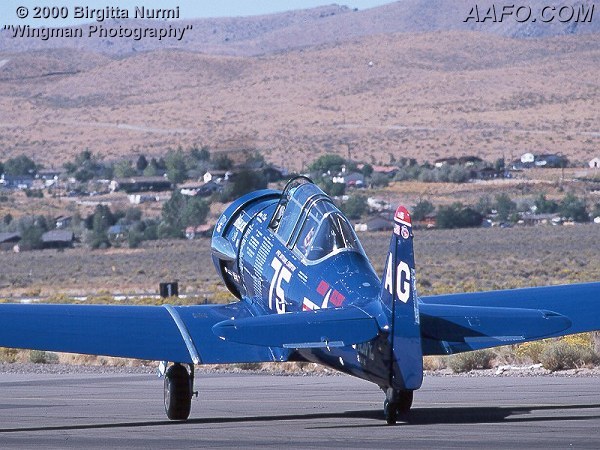 CLICK HERE OR BUTTON BELOW TO GO TO NEXT PAGE IN GALLERY