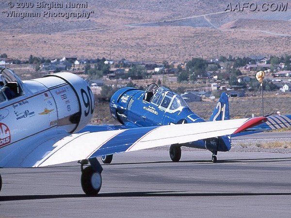 CLICK HERE OR BUTTON BELOW TO GO TO NEXT PAGE IN GALLERY