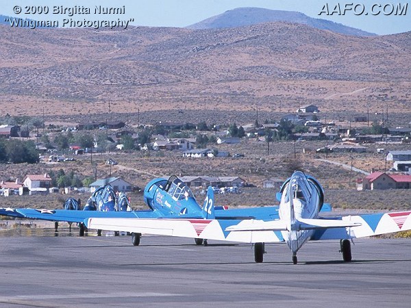 CLICK HERE OR BUTTON BELOW TO GO TO NEXT PAGE IN GALLERY