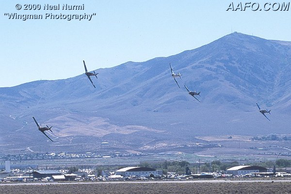 CLICK HERE OR BUTTON BELOW TO GO TO NEXT PAGE IN GALLERY