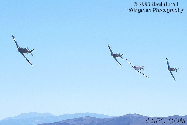 CLICK HERE OR BUTTON BELOW TO GO TO NEXT PAGE IN GALLERY