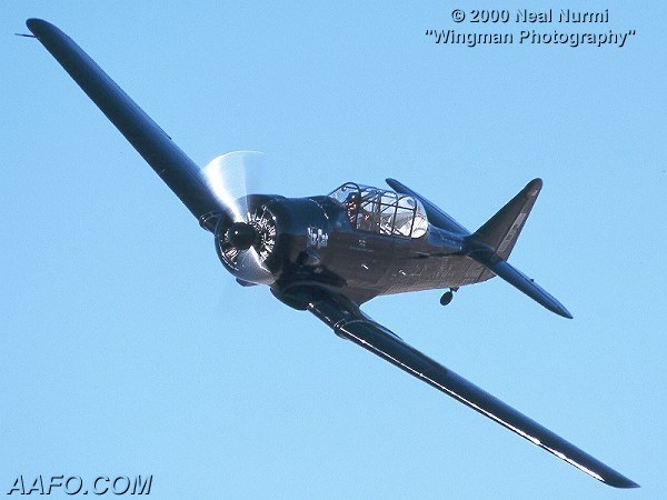 CLICK HERE OR BUTTON BELOW TO GO TO NEXT PAGE IN GALLERY