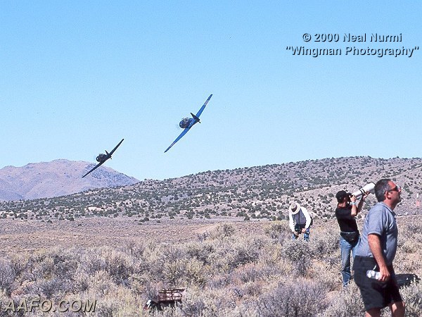 CLICK HERE OR BUTTON BELOW TO GO TO NEXT PAGE IN GALLERY