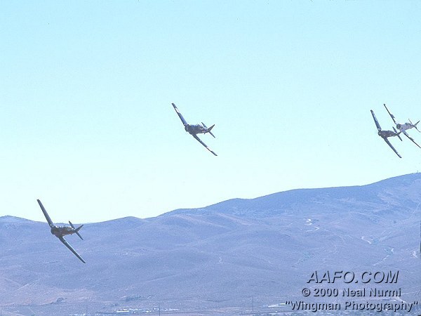 CLICK HERE OR BUTTON BELOW TO GO TO NEXT PAGE IN GALLERY