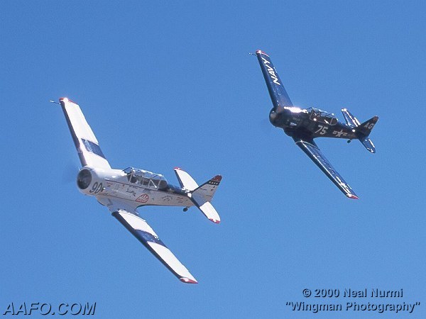 CLICK HERE OR BUTTON BELOW TO GO TO NEXT PAGE IN GALLERY