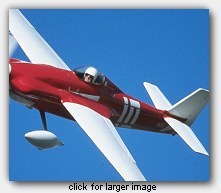 click here for larger image view