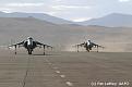 Click image for larger version

Name:	Harriers.jpg
Views:	350
Size:	14.2 KB
ID:	233992